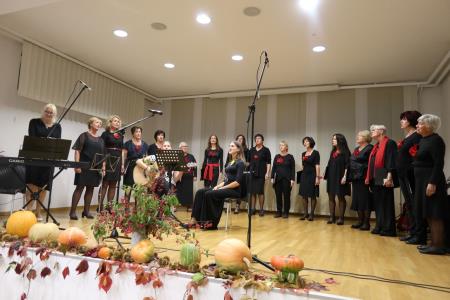 Zbor in ana kompan small